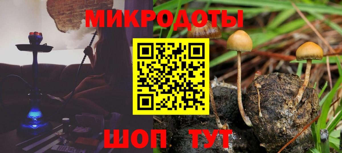 Галлюциногенные грибы прущие грибы  Вход с VPN  Усолье-Сибирское 